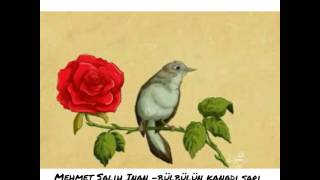 Mehmet Salih Inan - bülbülün kanadı sarı Resimi