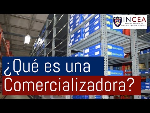 Video: Una profesión importante es la de contador. Se requiere actualización de forma continua