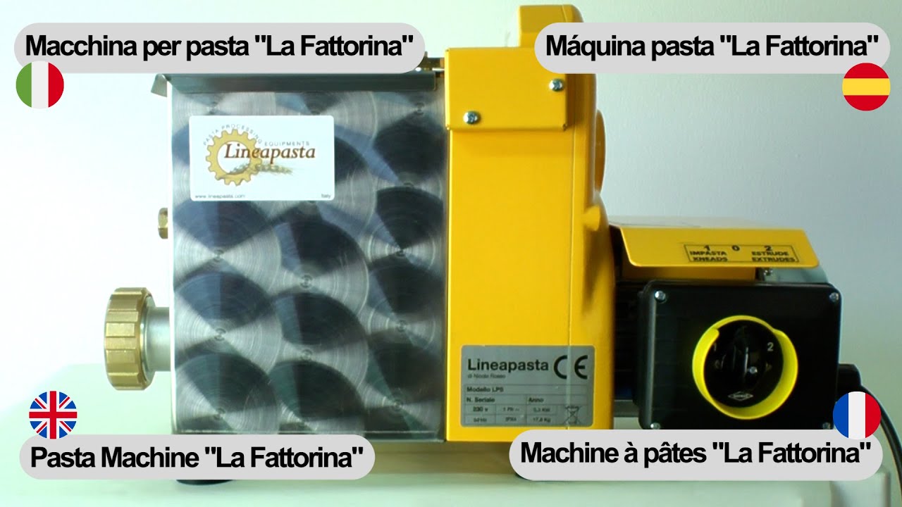 Macchina produzione pasta fresca Fattorina