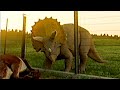 Jurassic Park Analog Horror: Triceratops Found Footage