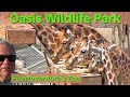 Oasis Park Wildlife Park & Zoo Fuerteventura - What is it like?