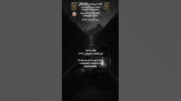 سورة الصافات 87/61 itali/arabo#قرآن_كريم# #quran