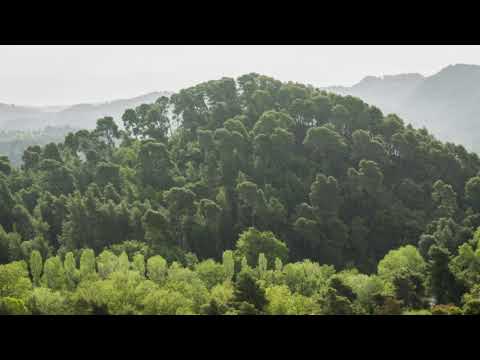 Κρόνιος Λόφος |