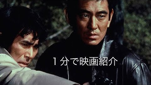 1分で映画紹介「君よ憤怒の河を渉れ」