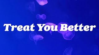 Shawn Mendes  Treat You Better (Lyrics)