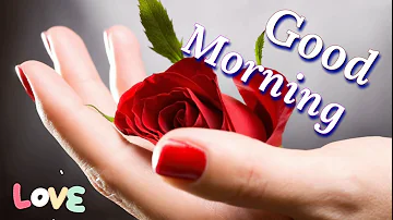 Good morning video - whatsapp status, Greetings, wishes, quotes, Beautiful massage, status