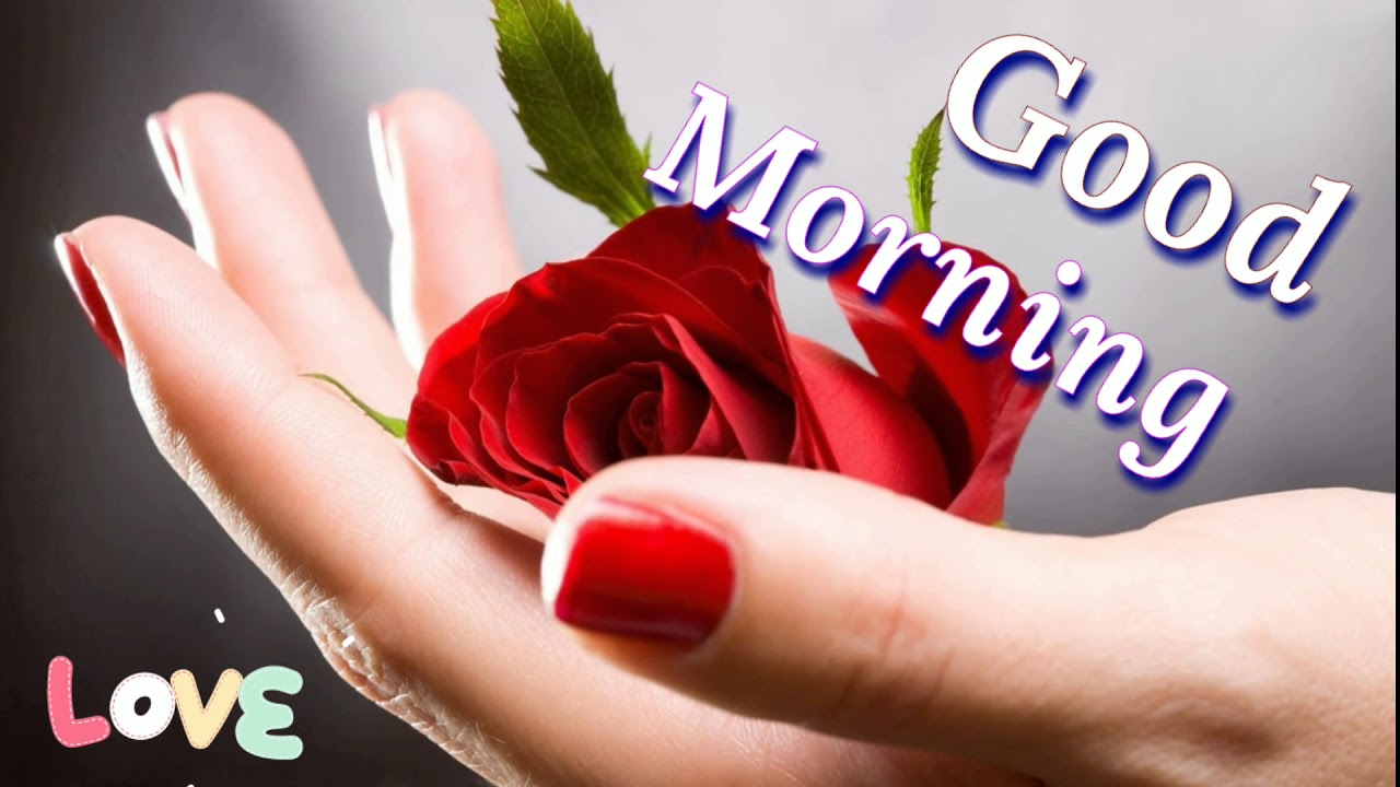 Good morning video – whatsapp status, Greetings, wishes, quotes, Beautiful massage, status