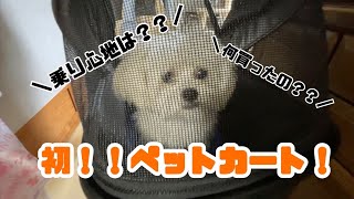 【犬と猫】初めてのペットカート