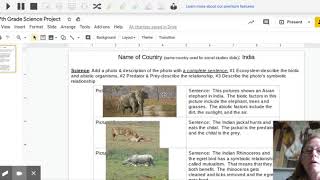 Tallman 7Th Grade Science Project - Google Slides