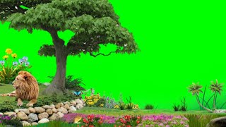 beautiful Natural Grin Skin Video ll Best Green Screen Background Effects