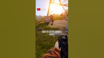 Easiest Way to Escape Animals in Rust