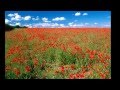Miniature de la vidéo de la chanson Summer's Breath