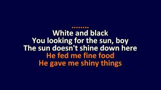 PJ Harvey - Plants And Rags - Karaoke Instrumental Lyrics - ObsKure