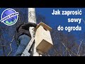 Jak zaprosić sowy do ogrodu