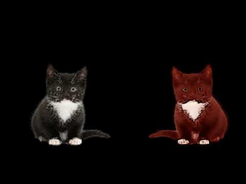 CLONE!
