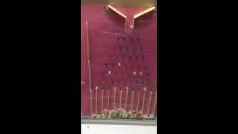 Galton Board | Quincunx | Bean Machine | Normal Distribution | Bell Curve |  Mathematics