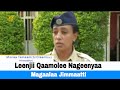 Leenjii Qaamolee Nageenyaa Magaalaa Jimmaatti