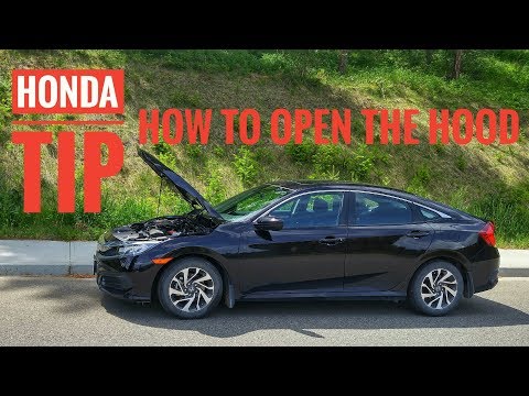 How to Open the Hood on a Honda Civic + Others 2016 2017 2018 2019 2020 2021
