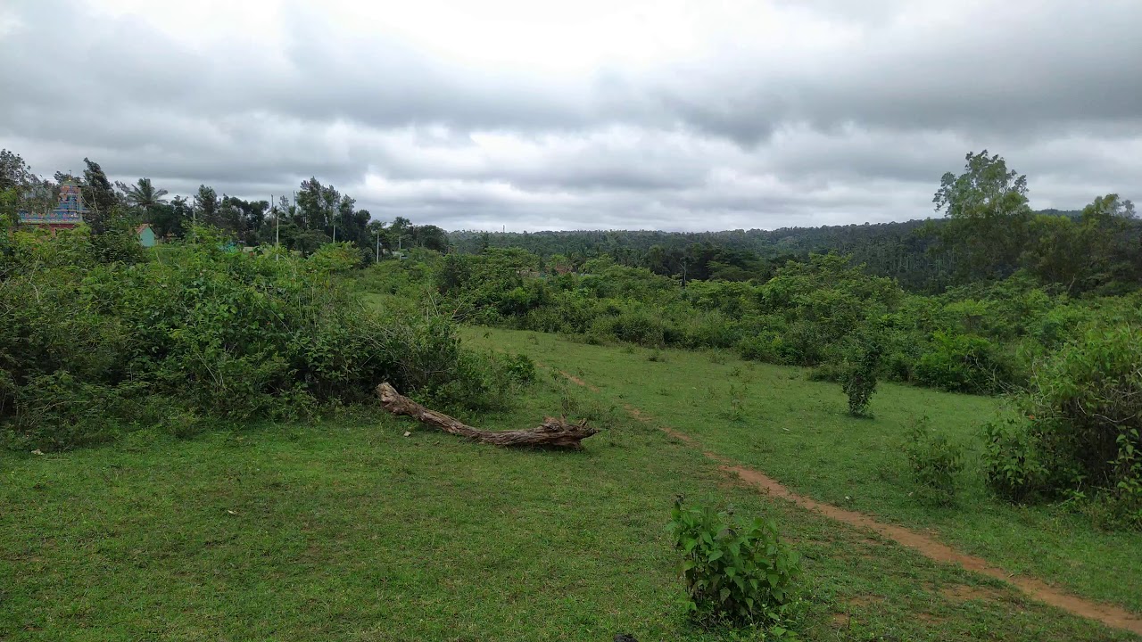 10 Acres of Agriculture Land for sale In between Sakleshpur and Belur