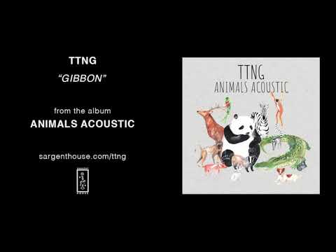 TTNG - "Gibbon" (Official Audio)