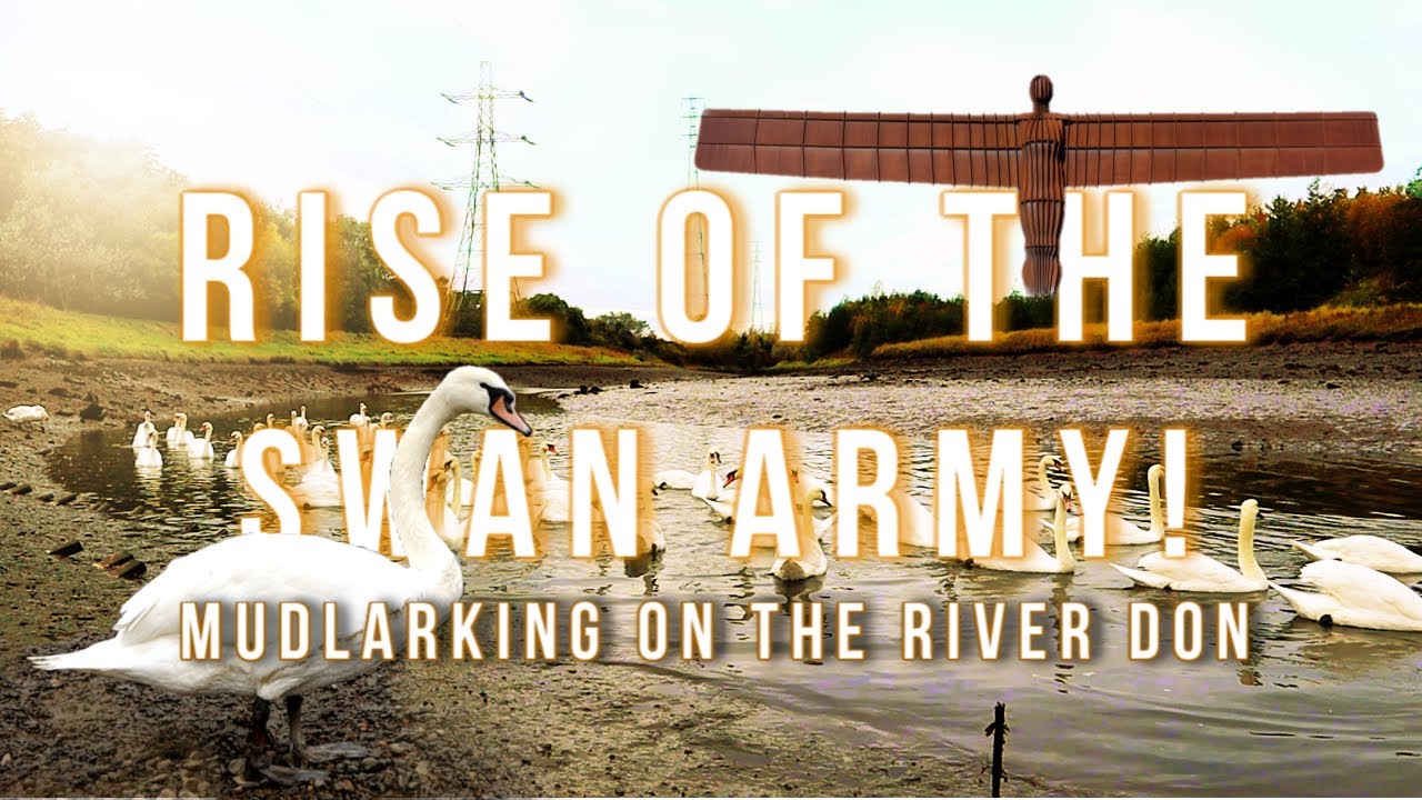 Pin On Diggings Pin On Diggings