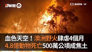 澳洲野火肆虐4個月4.8億動物死亡500萬公頃成焦土Bushfires in ... 
