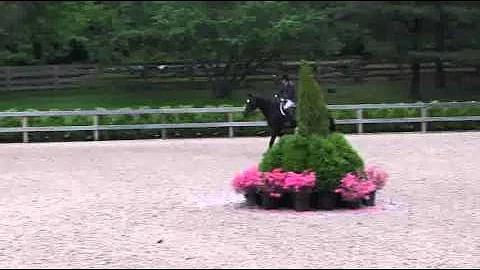Video of GRID IRON ridden by HEIDI DRISCOLL from S...