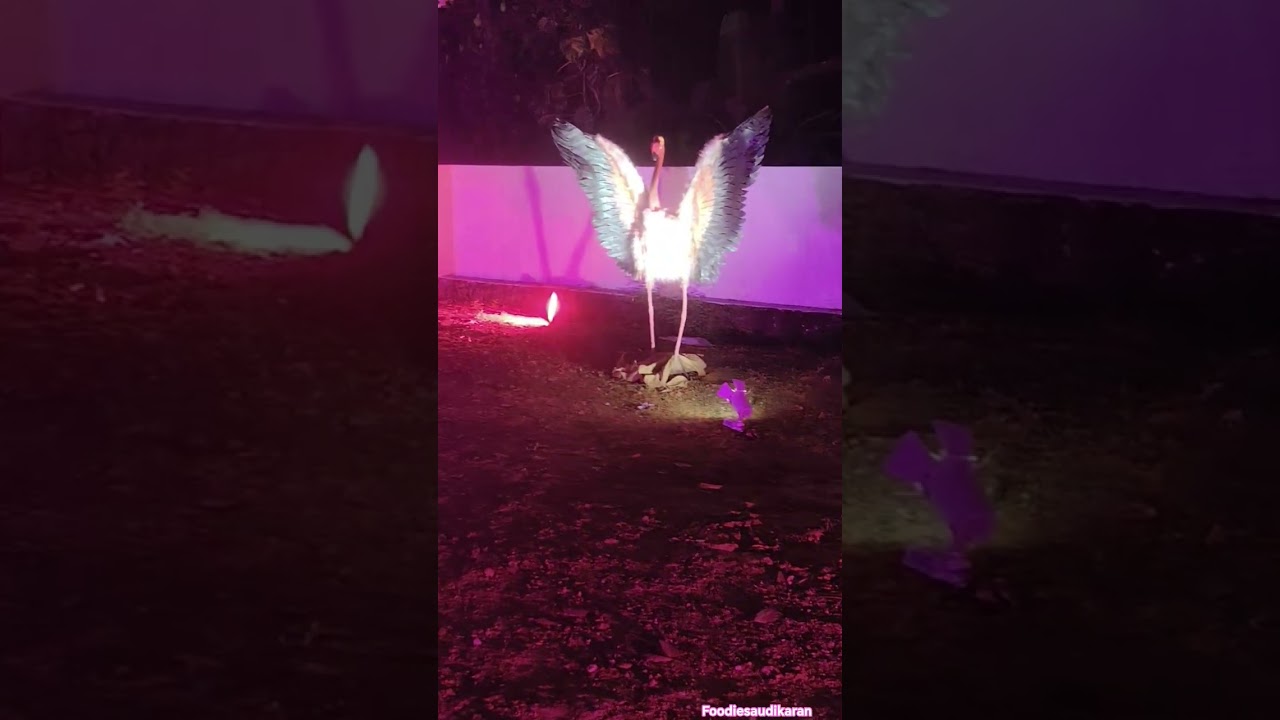 Incredible birds sound | 