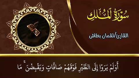 سورة الملك للقارئ لقمان بطاش