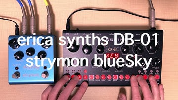 erica synths DB-01 BASS LINE × strymon blueSky //STEP PROBABILITY sequence Jam BPM120