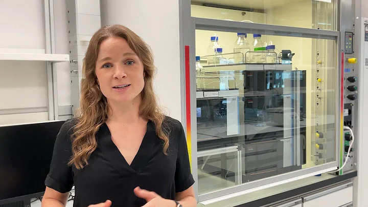 Get to know: Prof. Amy Fraley (Inaugural Video, August 2024)