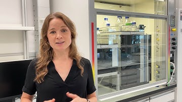 Get to know: Prof. Amy Fraley (Inaugural Video, August 2024)