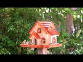 Create Your OWN Adorable Bird Feeder
