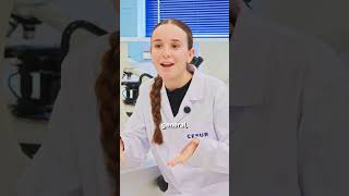 Una FP te da mucha Experiencia