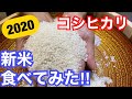 2020コシヒカリ新米を食べてみた！やっぱり最高に美味い‼︎