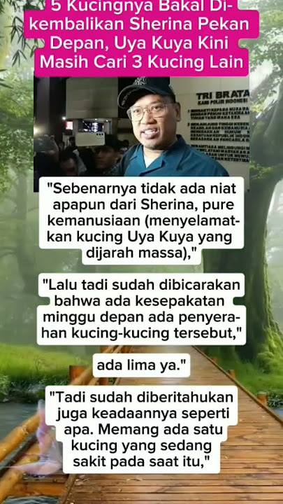 Sherina Munaf bakal kembalikan kucingnya, uya Kuya masih cari 3 kucing yang belum ketemu