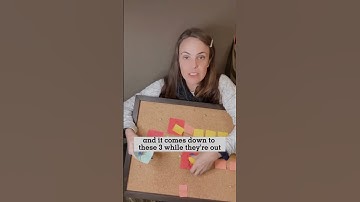 Ranked Choice Voting explained (kidding) #rankedchoicevoting #politicalvideo #politicsjokes