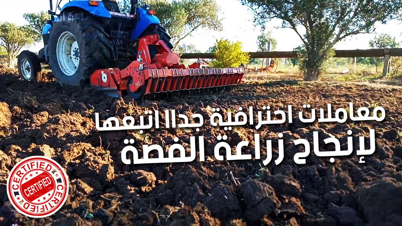 الحلقة 2 : هذه الإرشادات يلــزم عليــك اتباعها حتى تزرع الفــصة  بشكل محترف