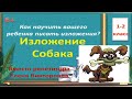 Учимся писать изложение. Изложение "Собака"