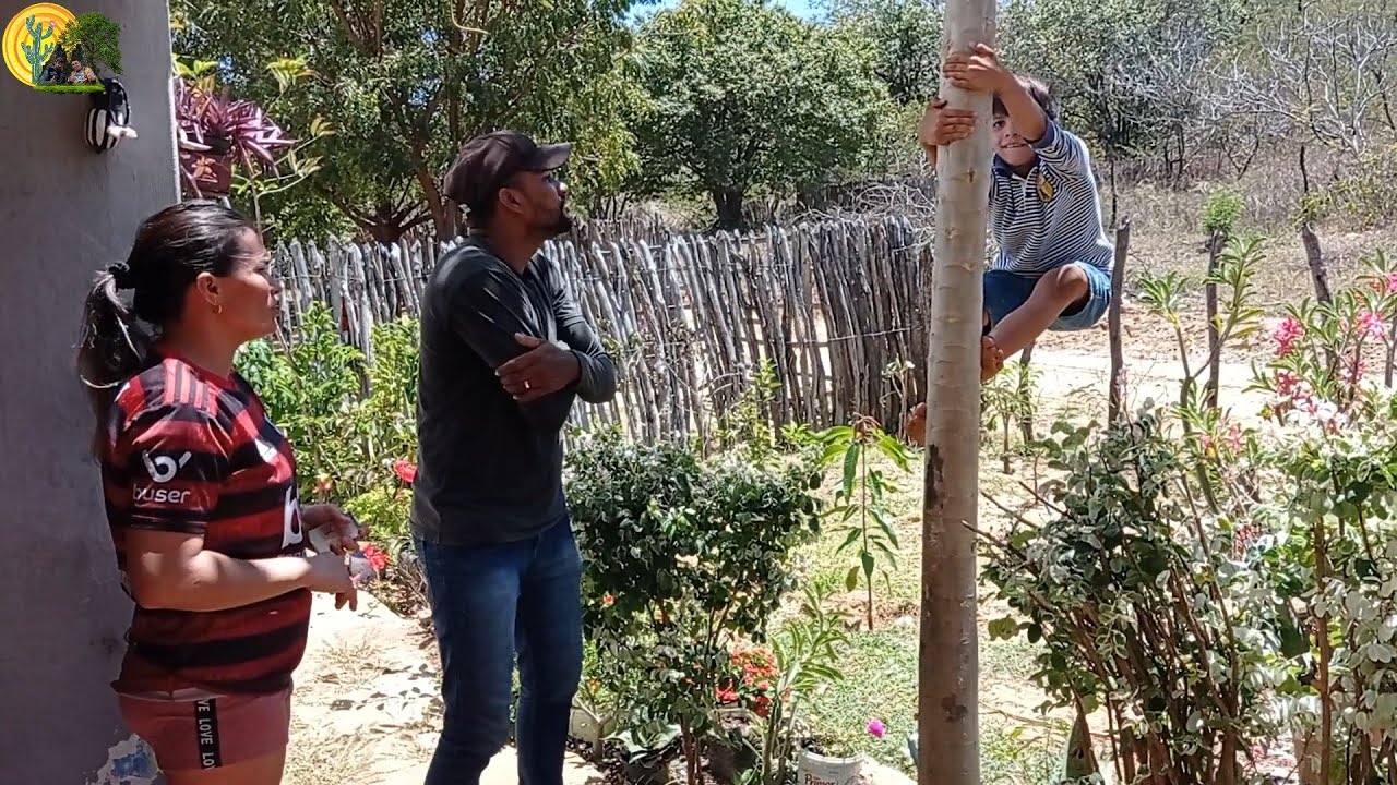 Seu Benedito faz o concurso do Pau de Sebo com o Pé de Mamão, será que ...
