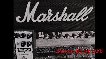 Friedman Buxom Boost clips