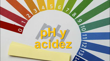 ¿Qué bacterias pueden crecer con pH ácido?