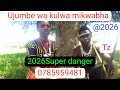 2026 Super Danger Ujumbe Wa Kulwa Mikwabha Audio Officials 0785959481 