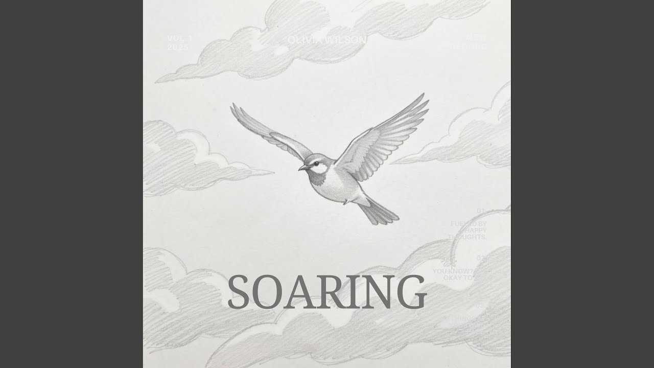 Soaring adlı videoyu YouTube'da izle Soaring adlı videoyu YouTube'da izle