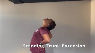 Standing Trunk Extension