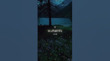 ﴿إِنَّ اللَّهَ لَا يَظْلِمُ النَّاسَ﴾ | تلاوة تلمس القلب #محمد_ديبيروف #تلاوة_خاشعة #القرآن