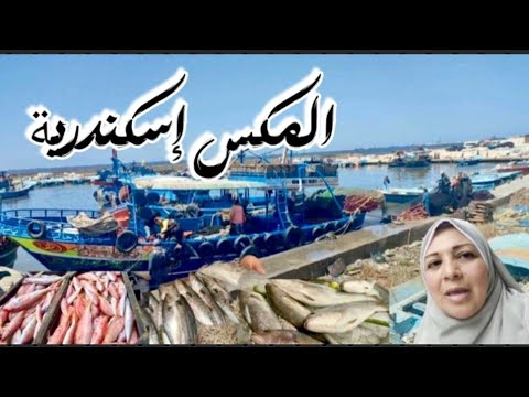 إسكندرية اليوم من كوبري المكس فسحة و اكلة سمك اسكندراني