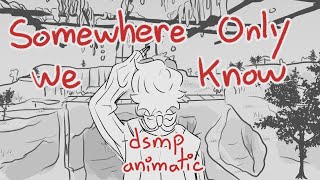 Somewhere Only We Know  DSMP Animatic