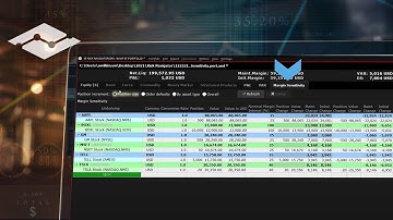 Margin Sensitivity in IBKR’s Risk Navigator