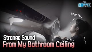 Something Is Watching Me From the Bathroom Ceiling by I'm Shook 347 views 6 days ago 4 minutes, 41 seconds